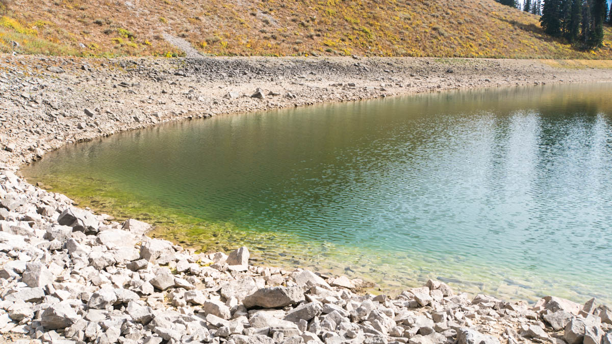 It wasn't all clear. There was some algae or something clouding the water here.