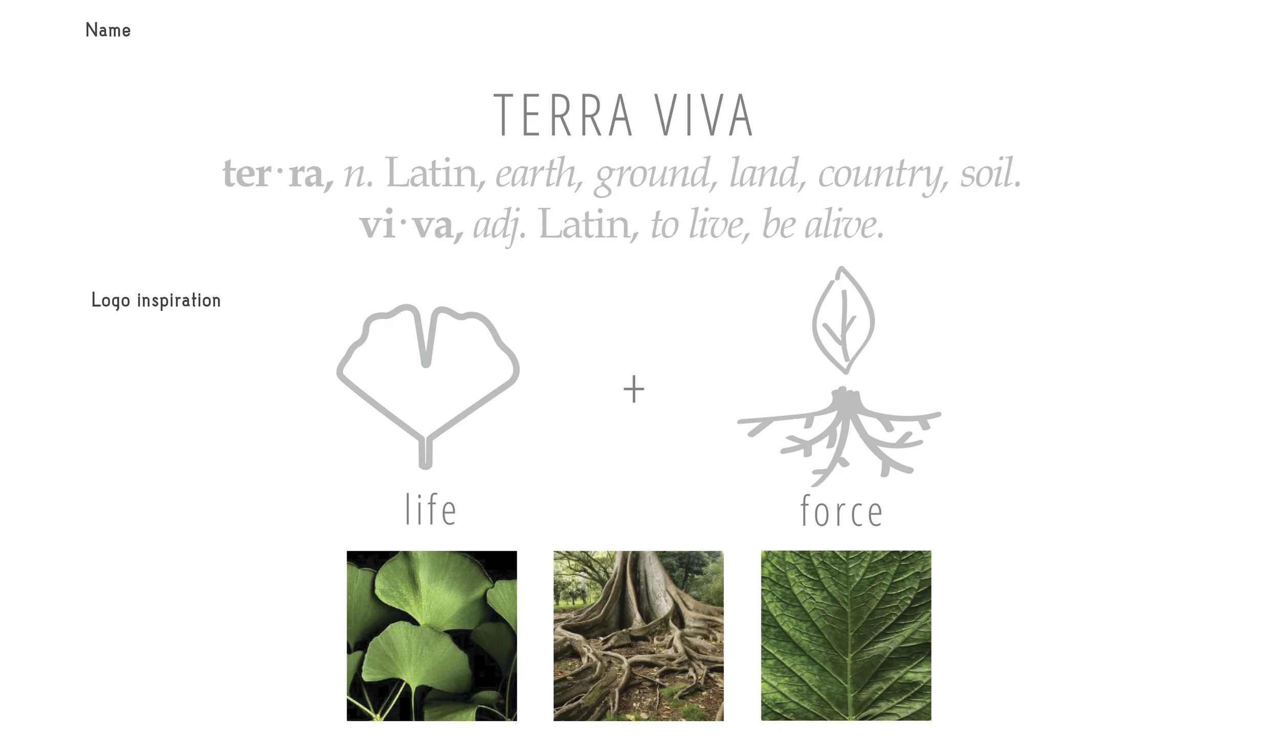 TERRA-VIVA-2-Logo-.jpg