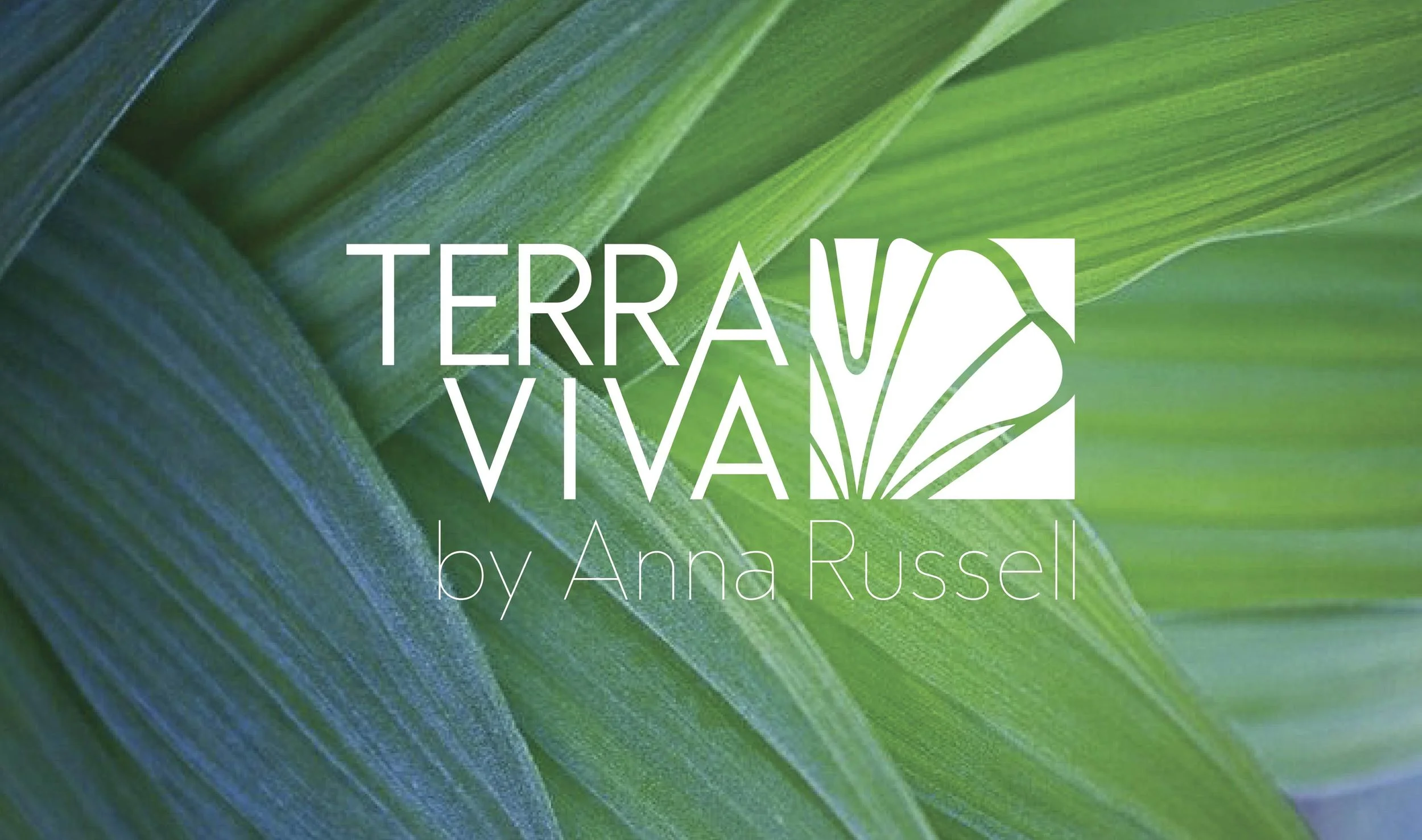 TERRA-VIVA-9-Logo-.jpg