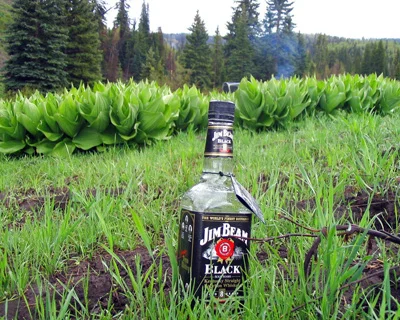 Jim-Beam-Camping-in-Colorado-by-Rifle.jpg