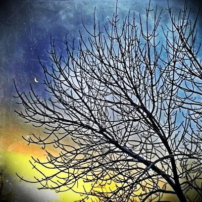 A Hanging Moon.jpg