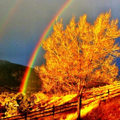 Golden Rainbow.jpg