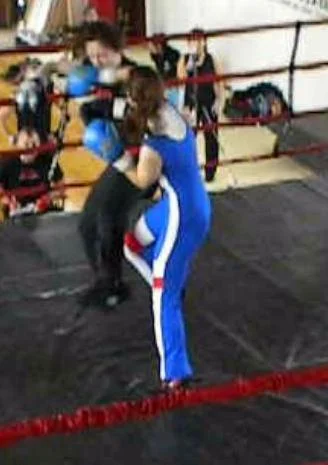Meredith vs Shannon1.jpg