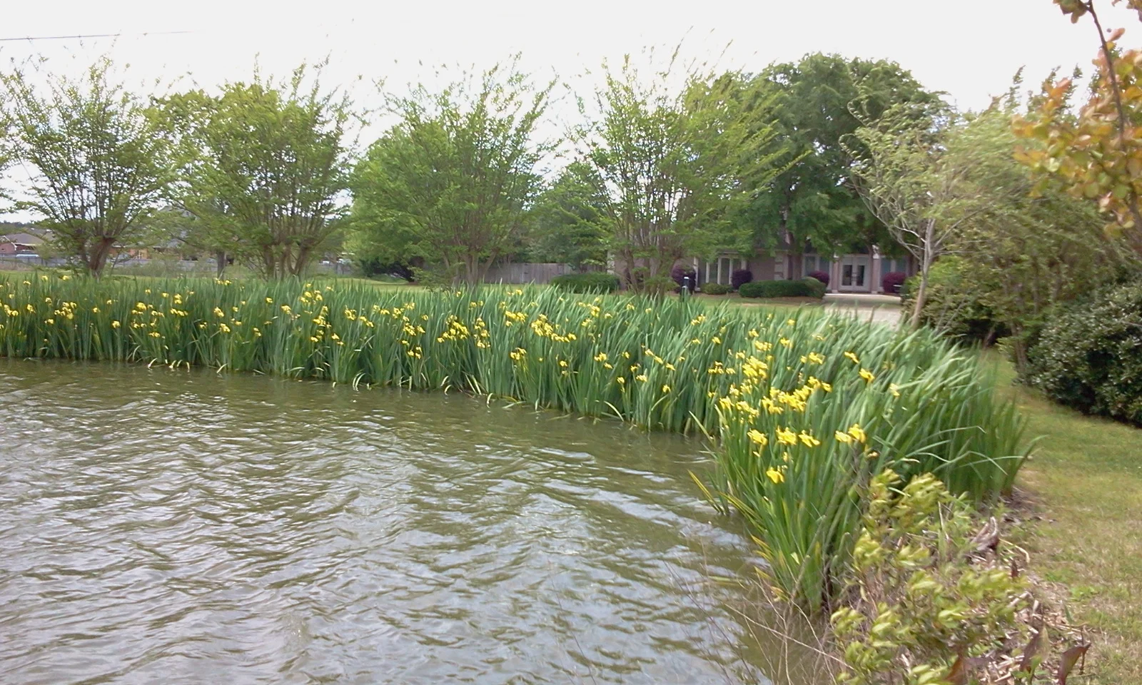 Take care of yourself.