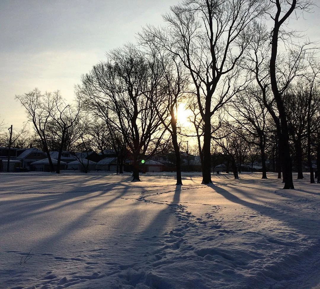 Picture I took on my walk the morning after. I couldn’t sleep, so I was up with the sun.