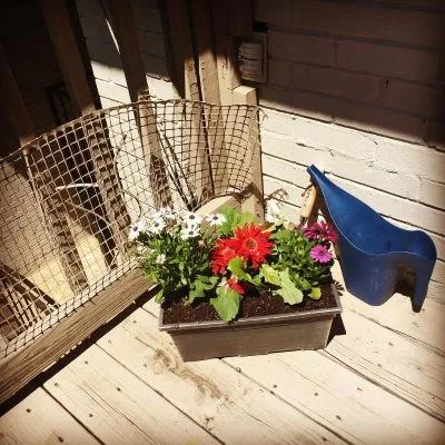 On Easter morning, one of the first things I did was buy flowers to plant. I usually plant flowers, but this year, I especially planted them with grandma in mind. She would have liked them.