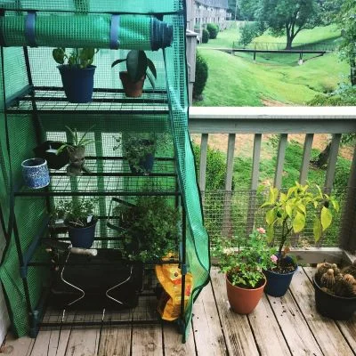 The rainforest is burning and the right people don't care. Here's what you can do. 