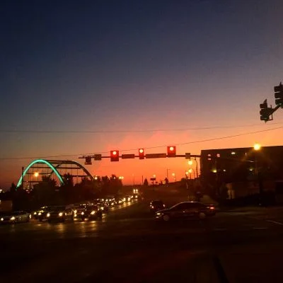 Sitting in trees and screaming like cicadas