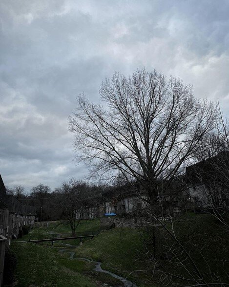 Seasonal Affective Disorder is real, and it sneaks up on you.