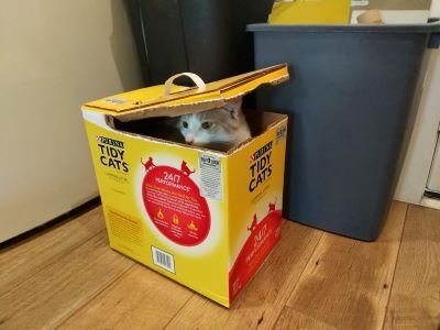 On outgoing introverts.