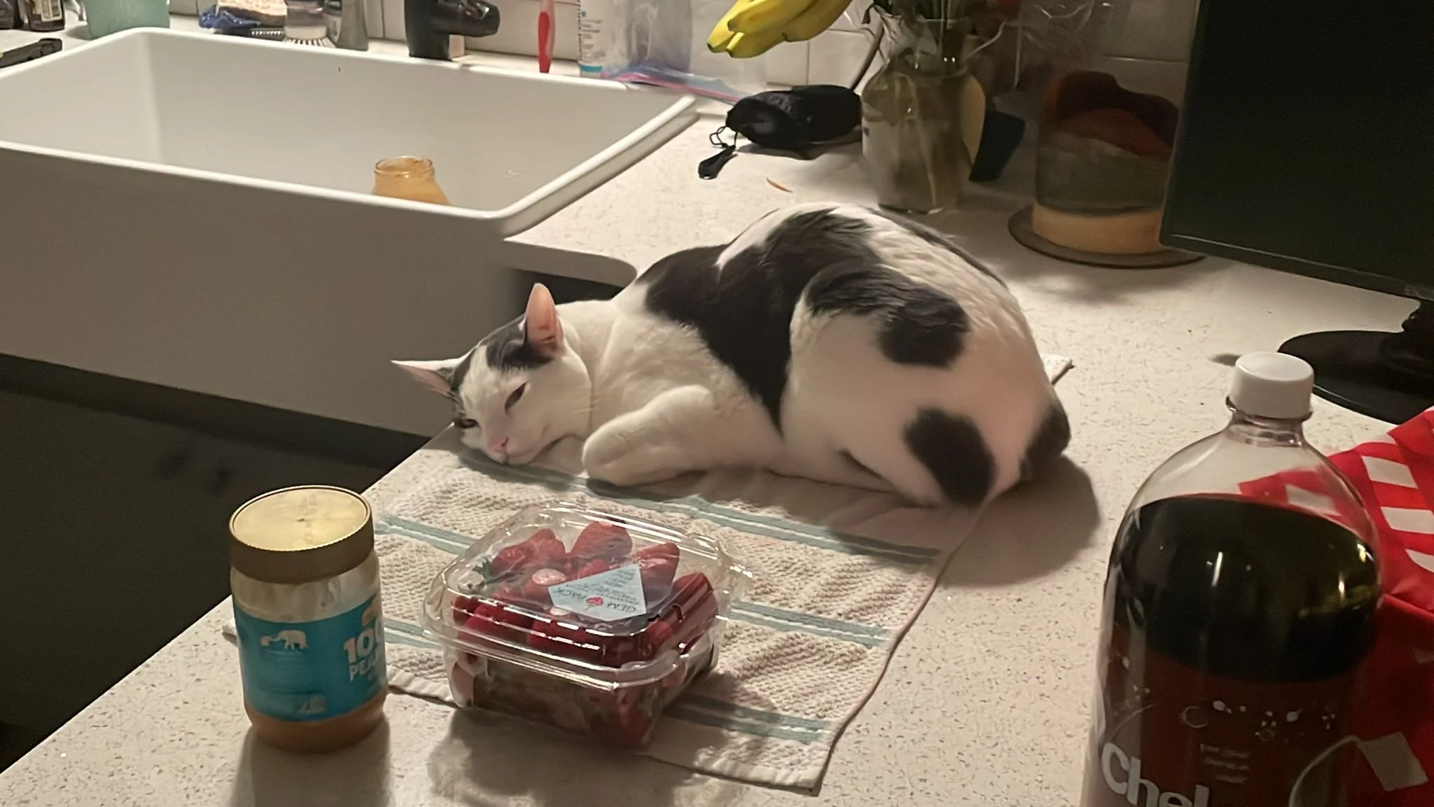 Learning Your Window of Tolerance