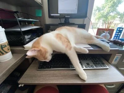 5 things I've learned working in publishing