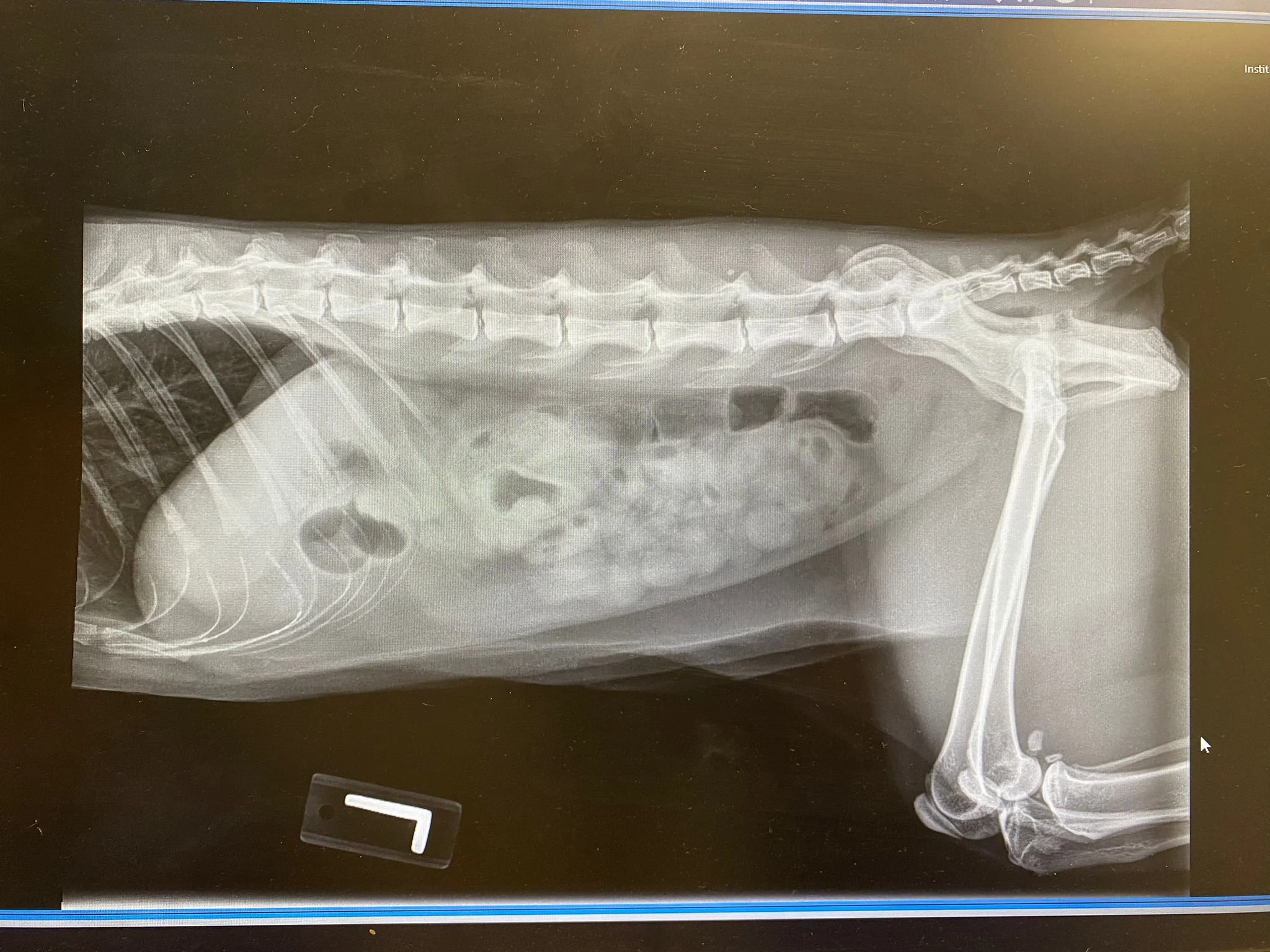 The one where Cloud has emergency surgery.