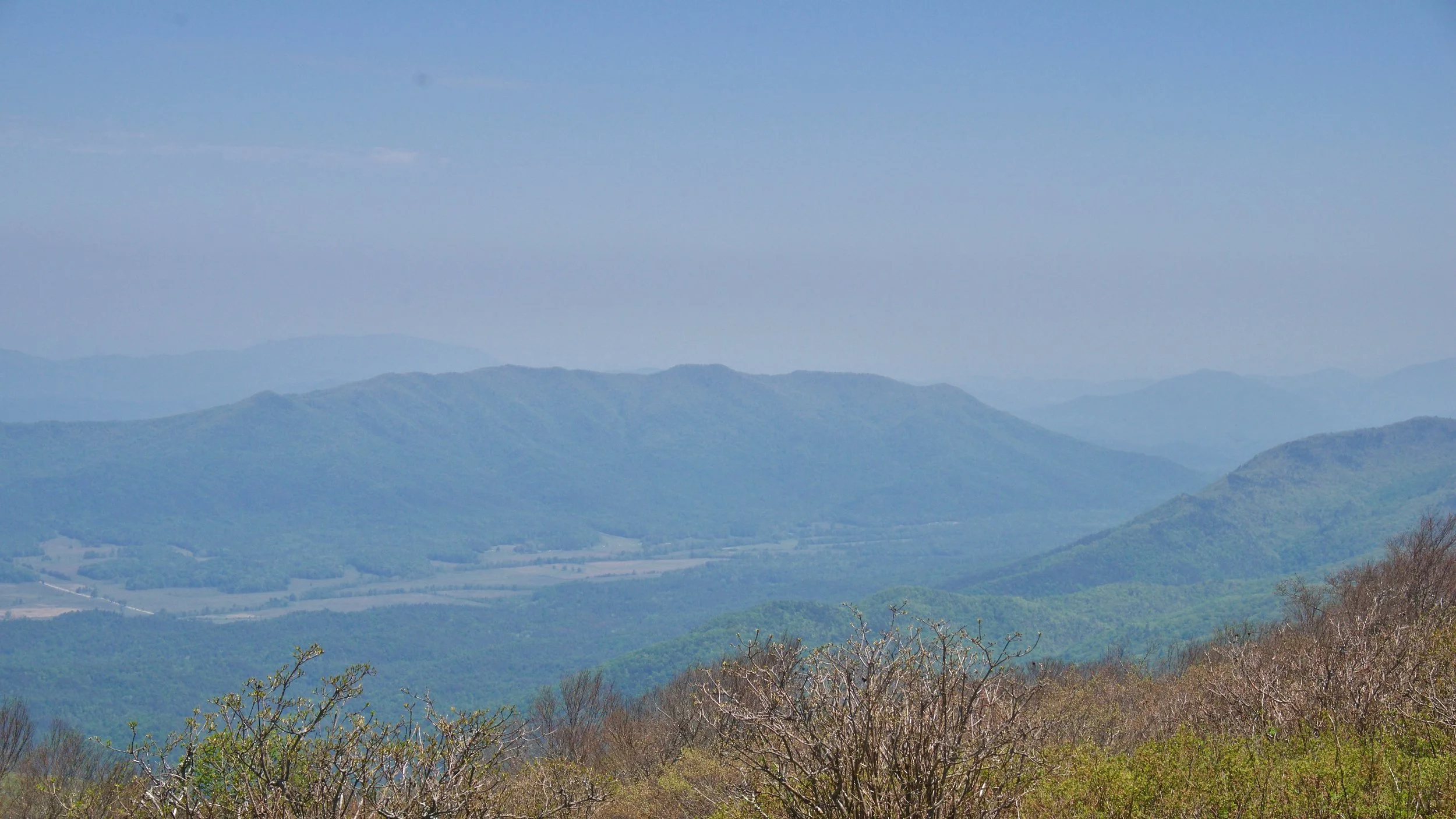 DSC07352.jpg
