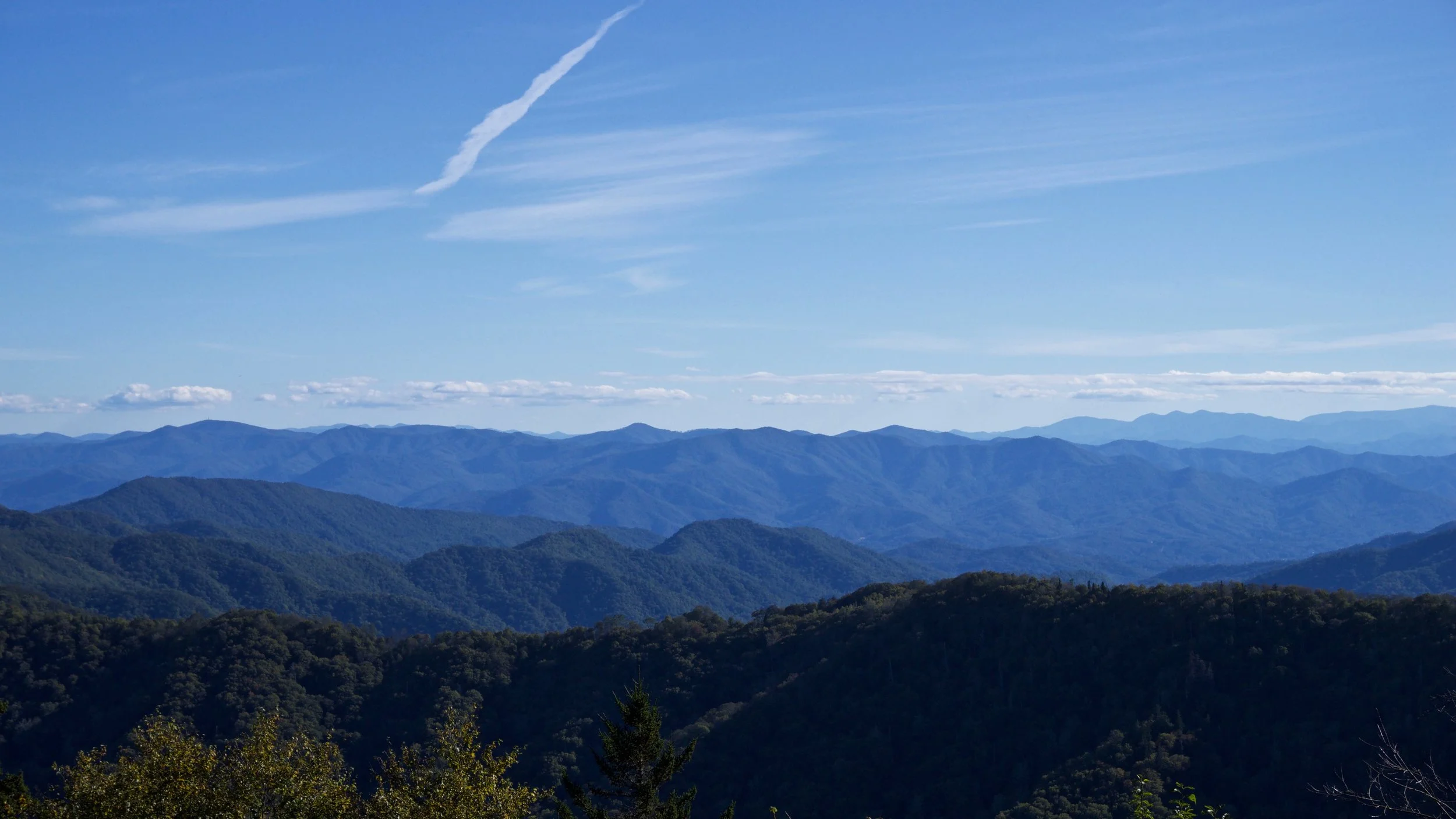DSC09097.jpg