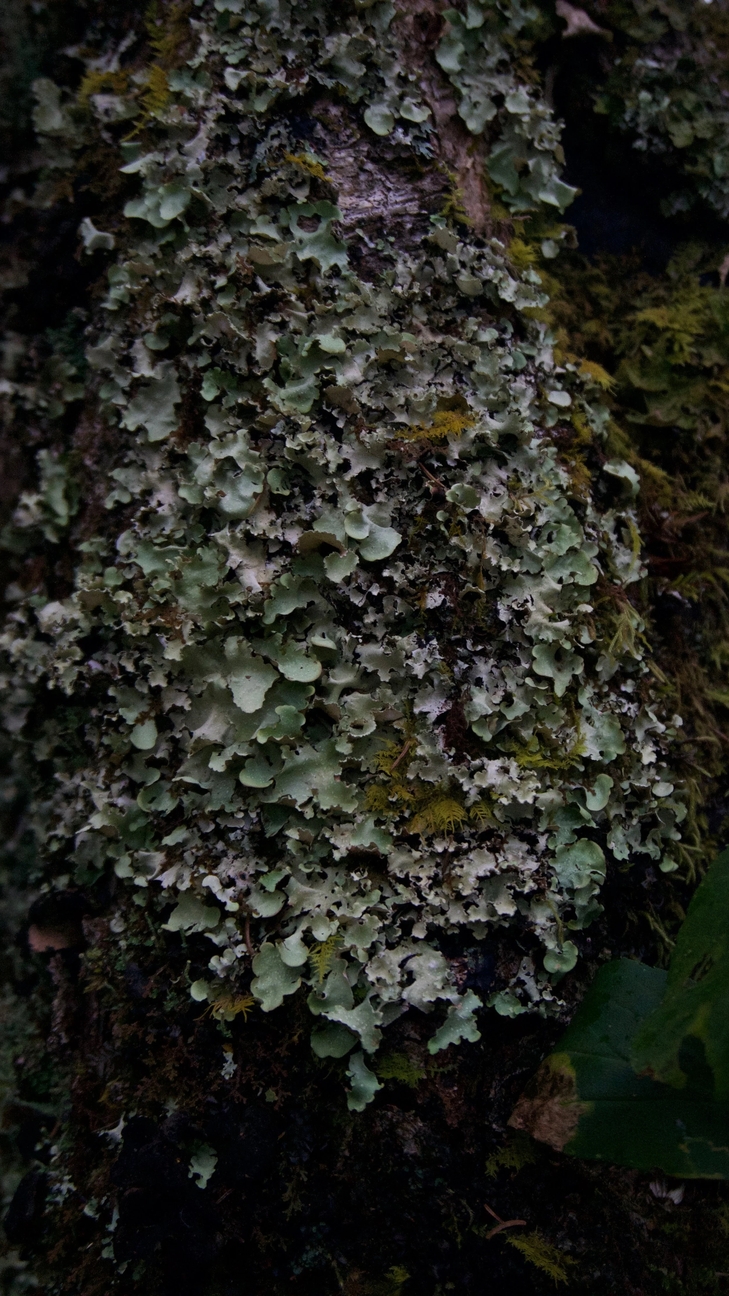 DSC08856.jpg