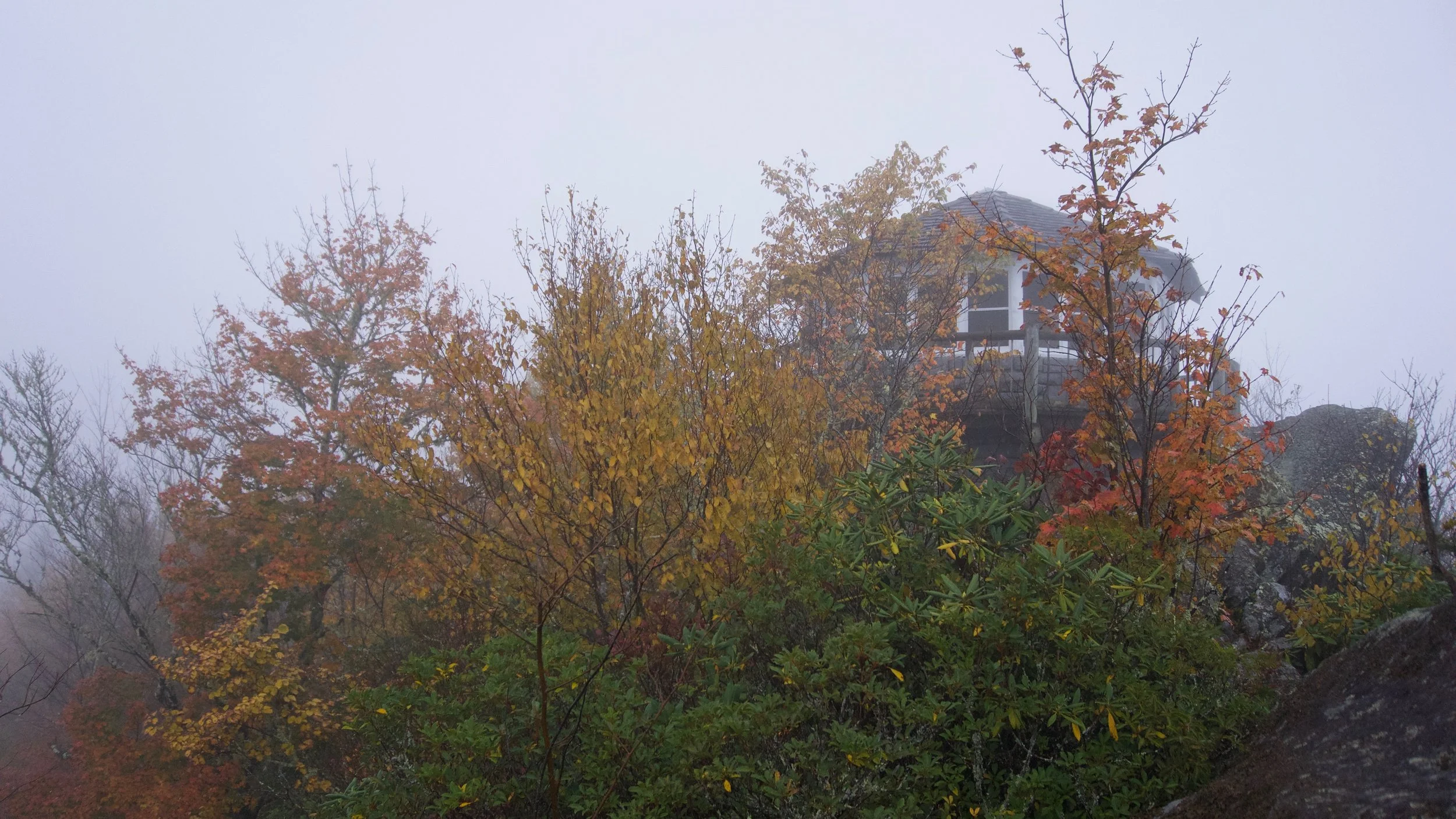 DSC09129.jpg