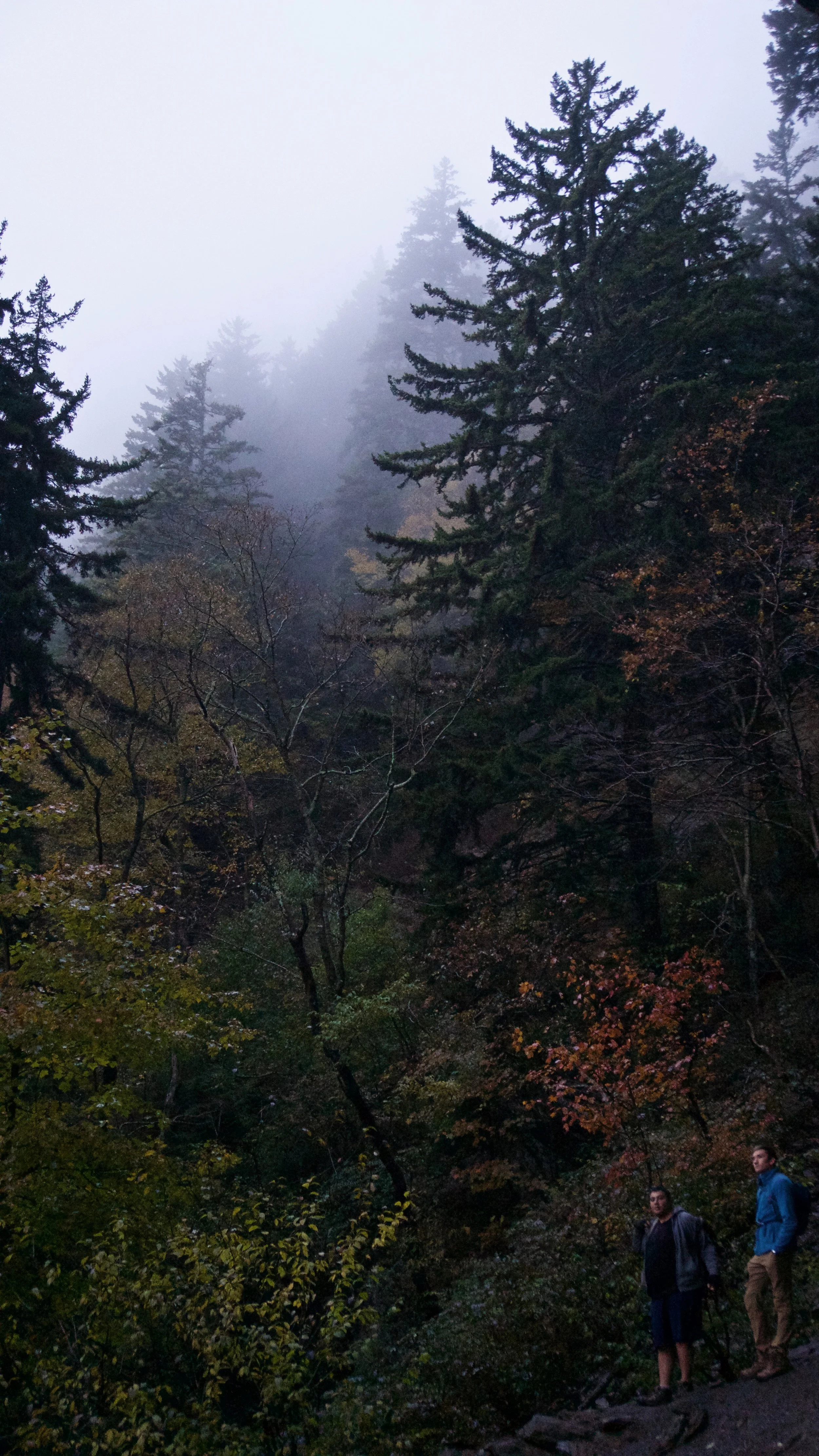 DSC09185.jpg