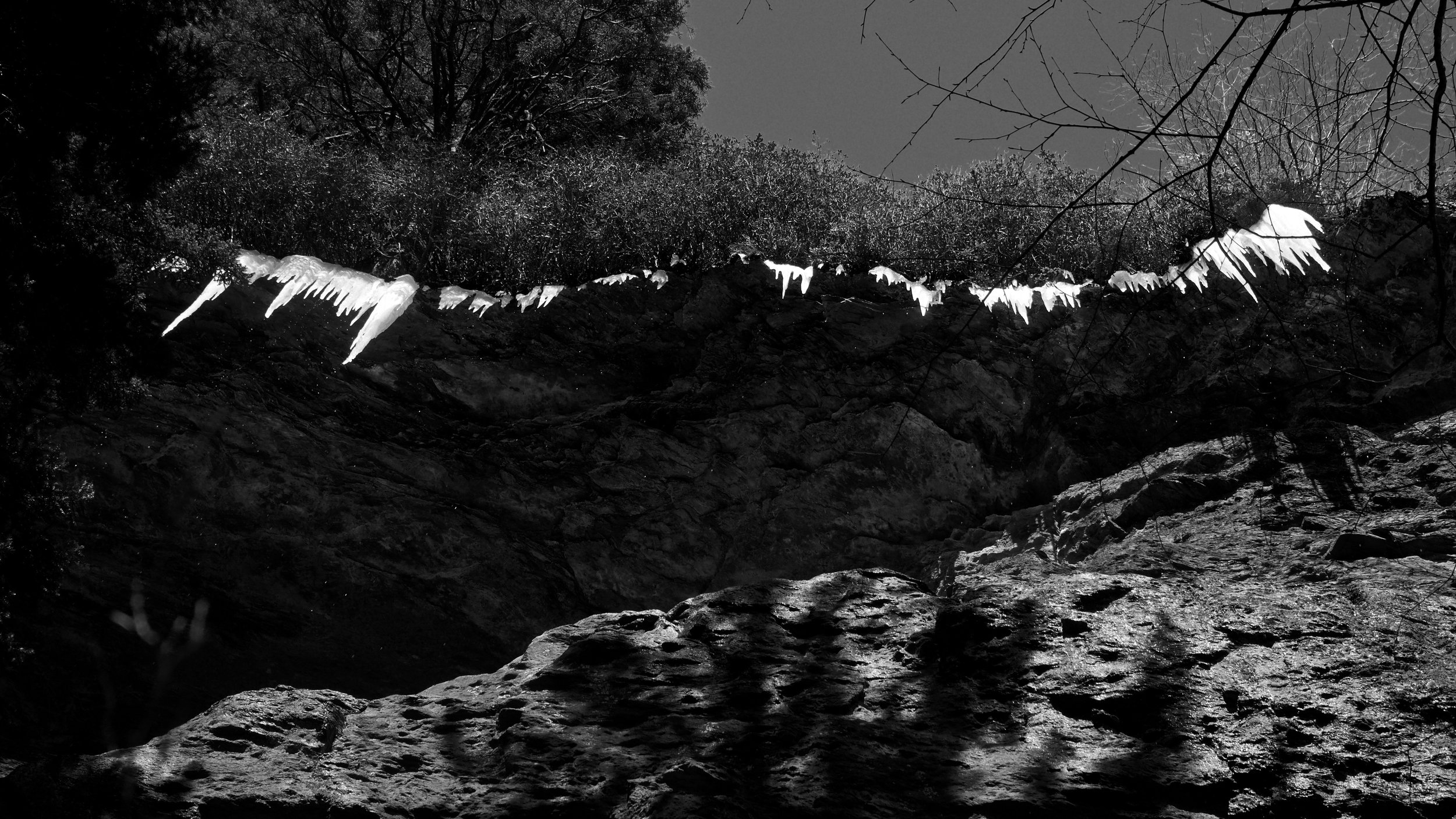 DSC09862.jpeg