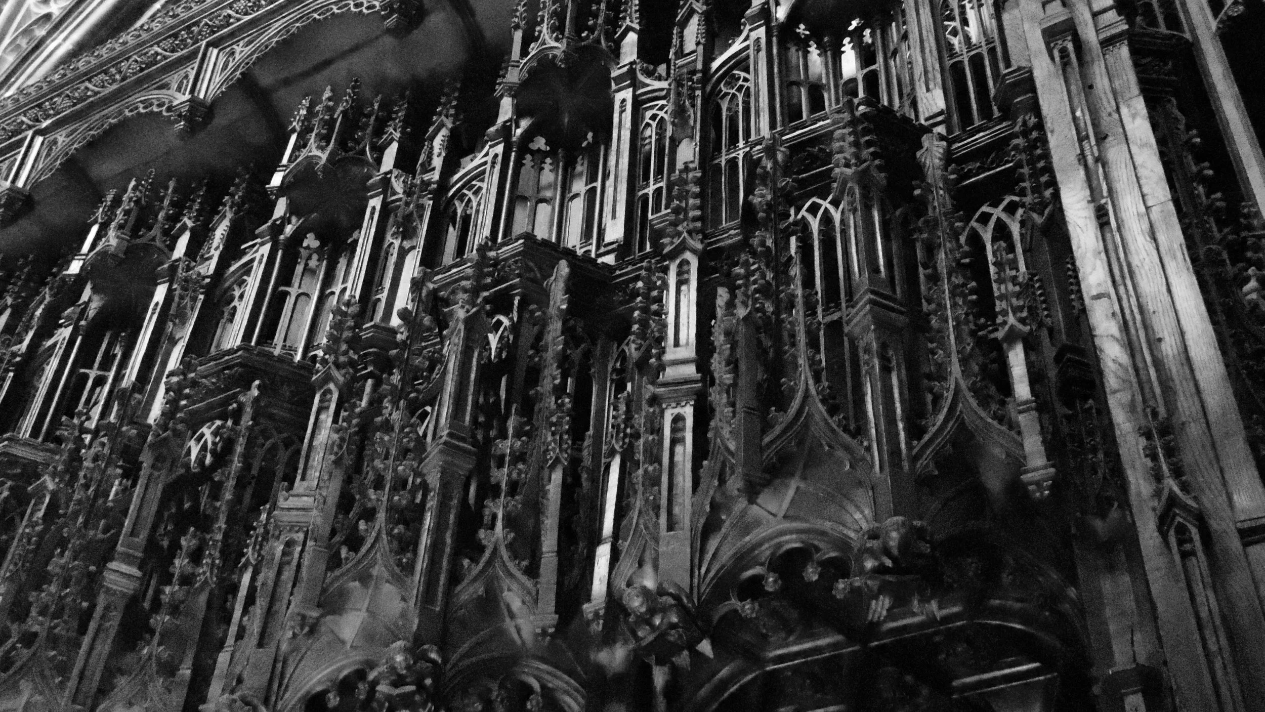 DSC00983.jpeg