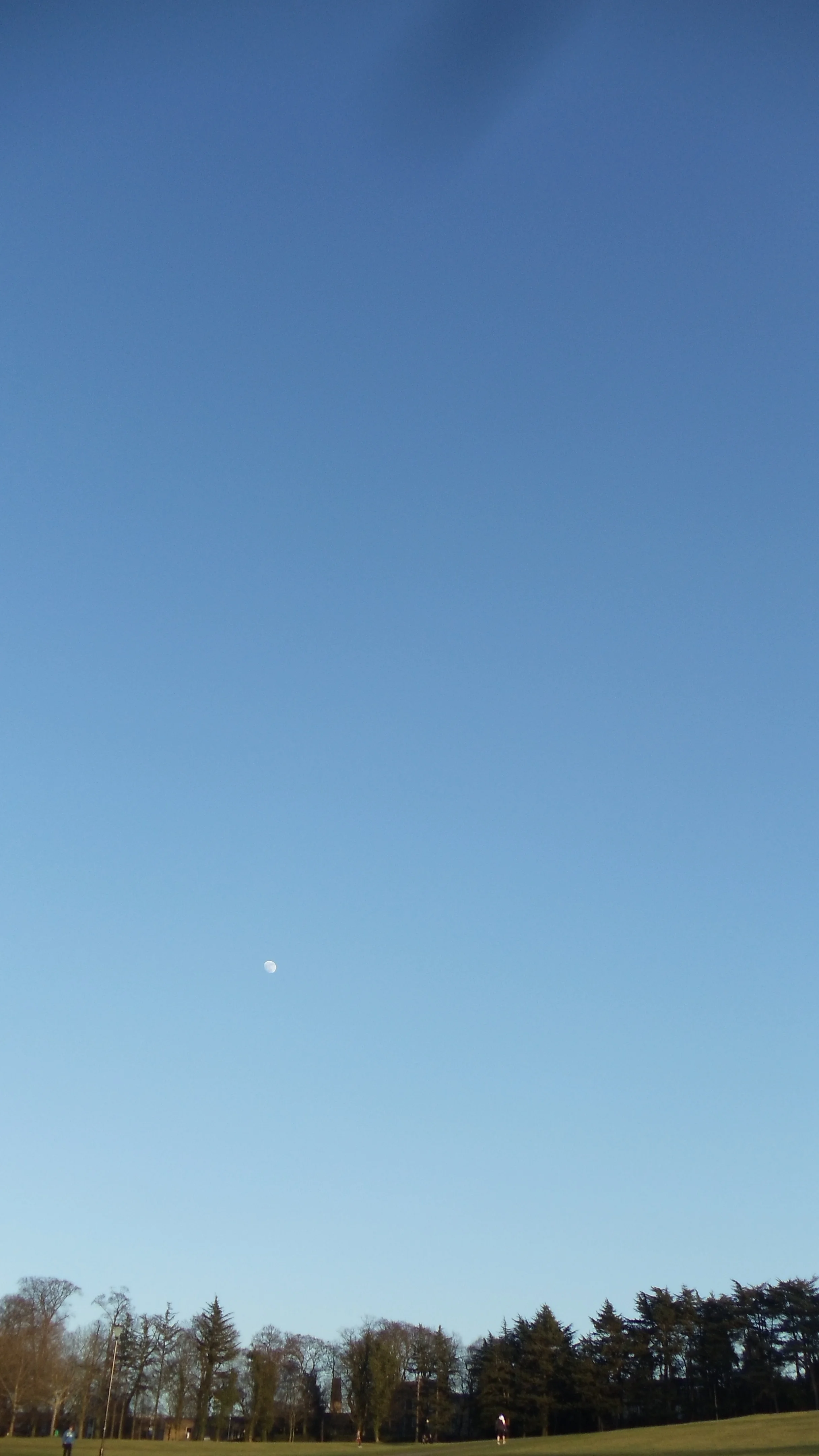 DSC01374.jpg