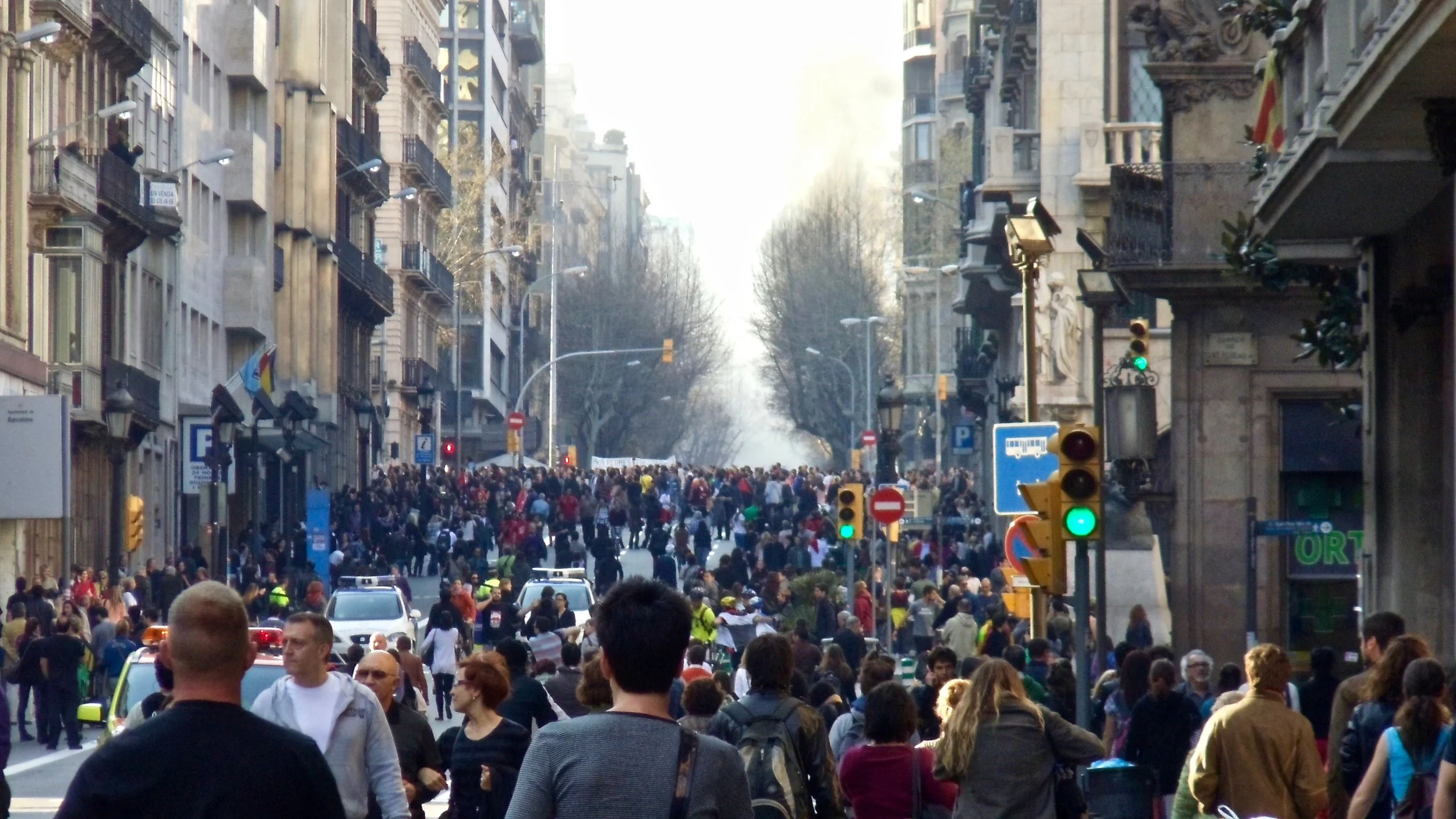 DSC02366.jpeg