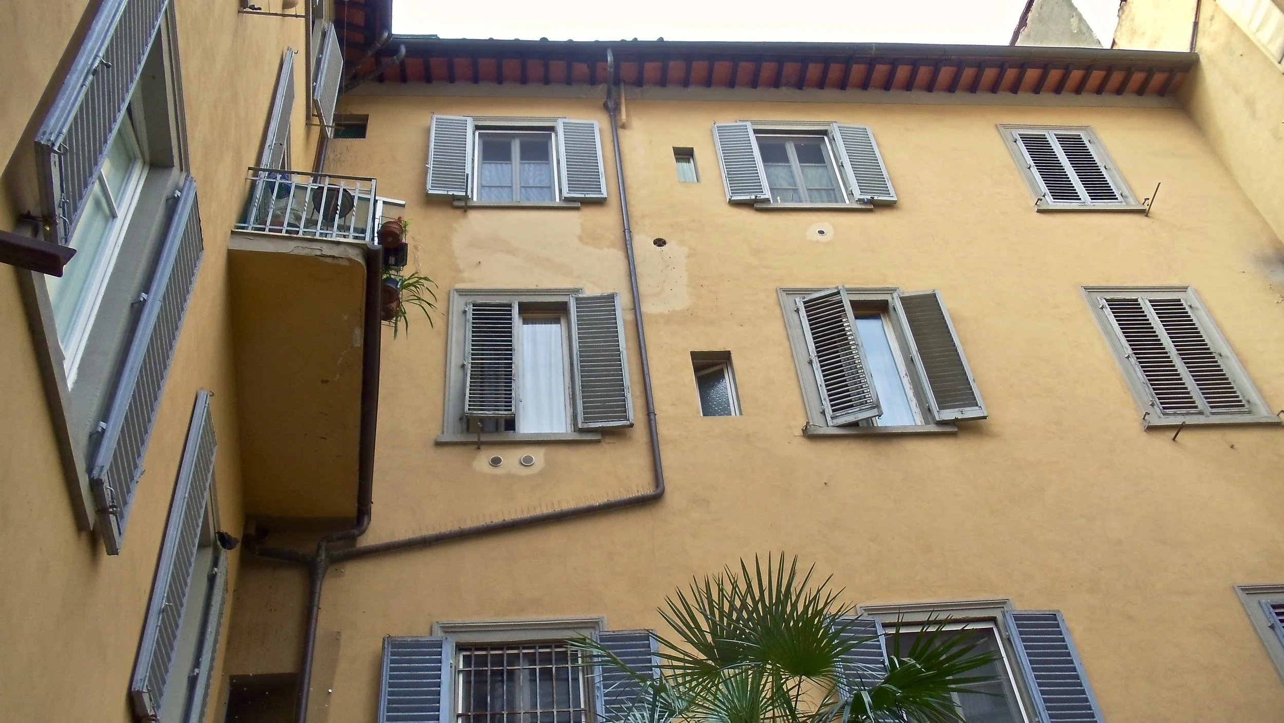 DSC03019.jpeg
