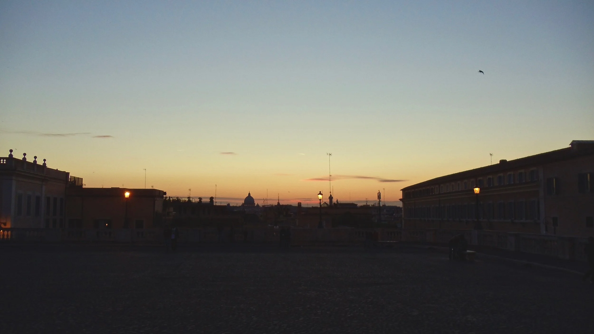 DSC04010.jpeg