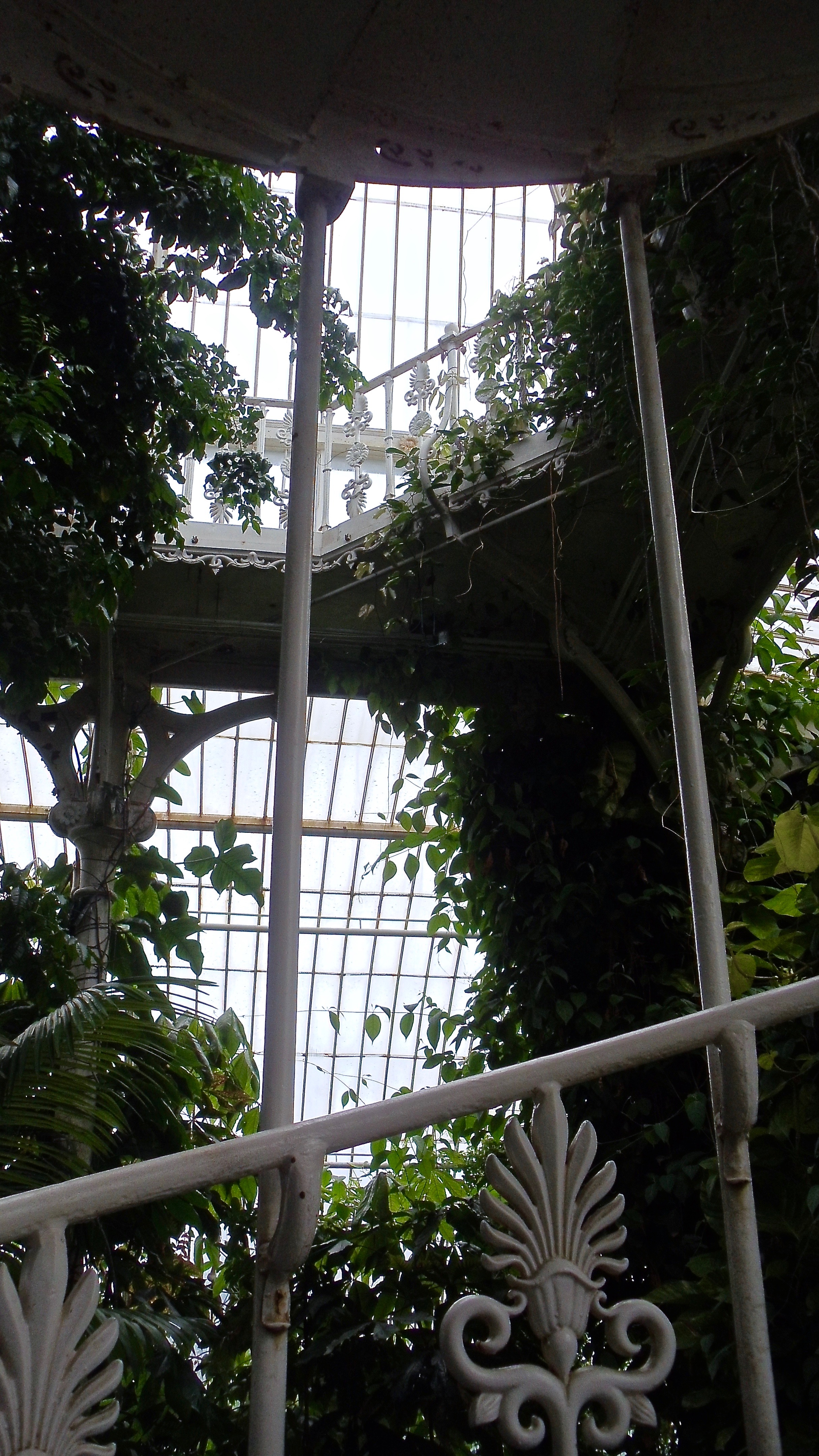 DSC06409.jpeg