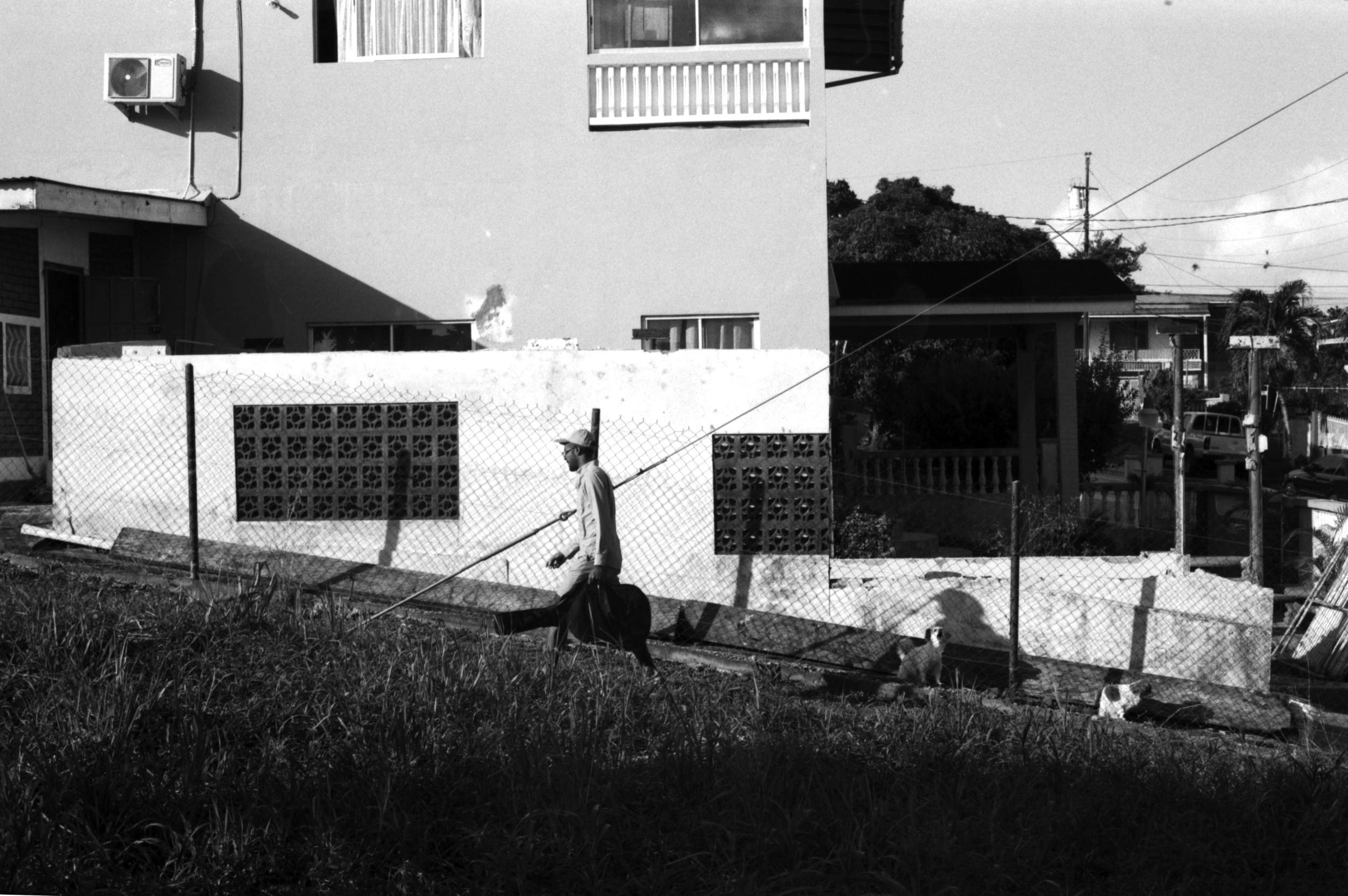 This was in the neighborhood we stayed in. You could find small tracks leading to the next street over. My brother and I were on our way to catch a texi. Notice the dog barking in the shadow.