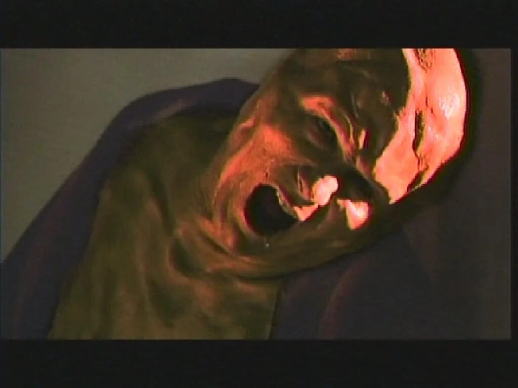  Dr. Jessup experiencing accelerated evolutionary mutation on the sub-atomic level. 