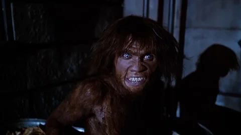  Dr. Jessup post-transformation. 