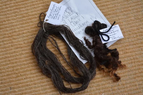 Black English Leicester with lovely note from Ethel Stephenson