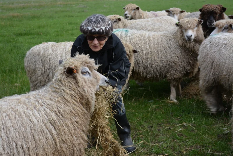 Ethel Stephenson spoiling her flock while wearing beautiful EL hat handknit by one of her many admirers