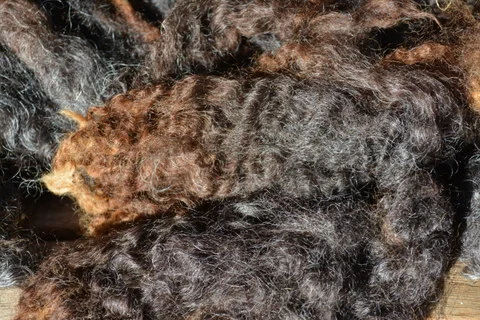 DSC_1227.JPG