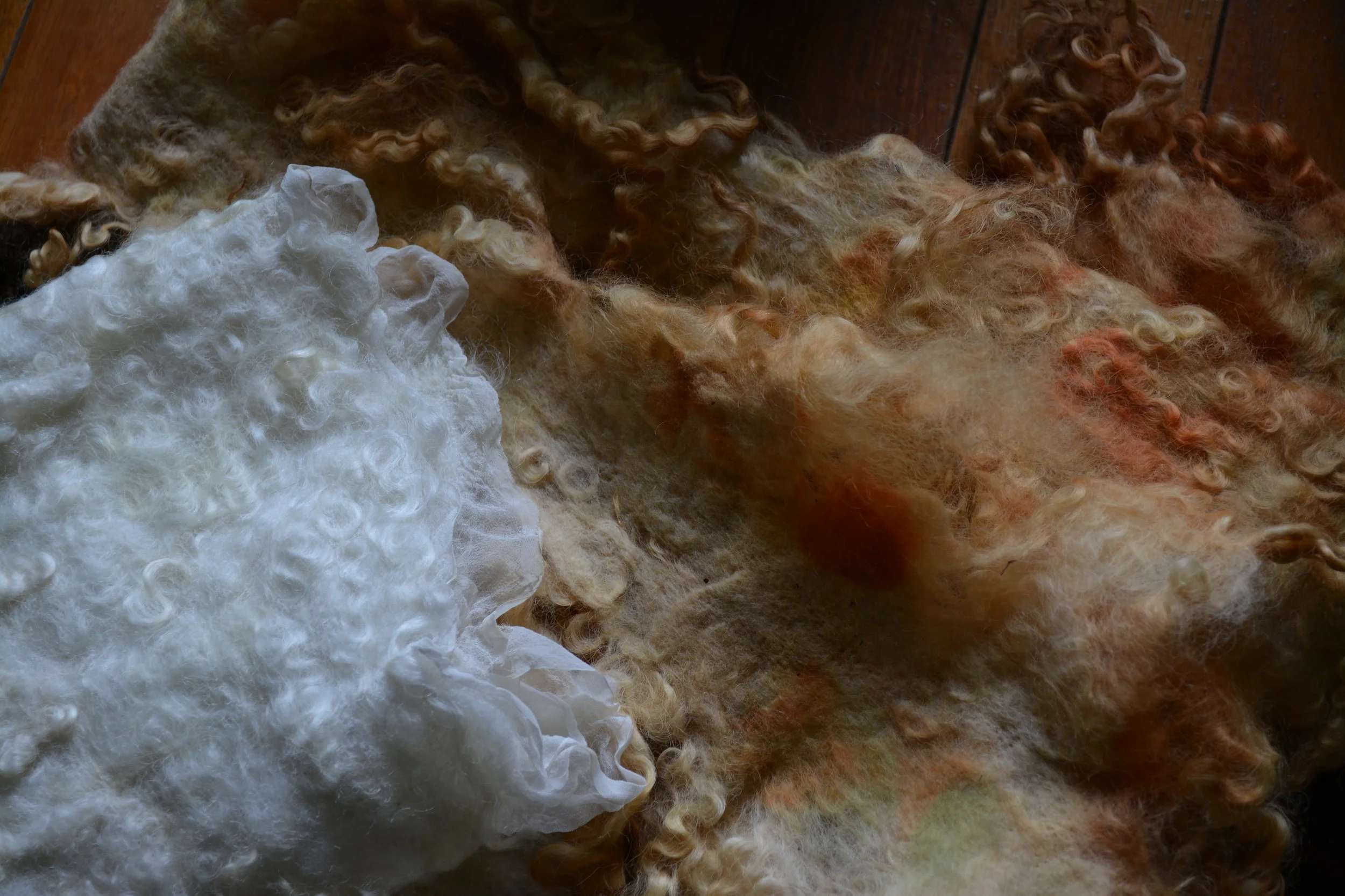 Beautiful felted English Leicester by Marie Gibbs