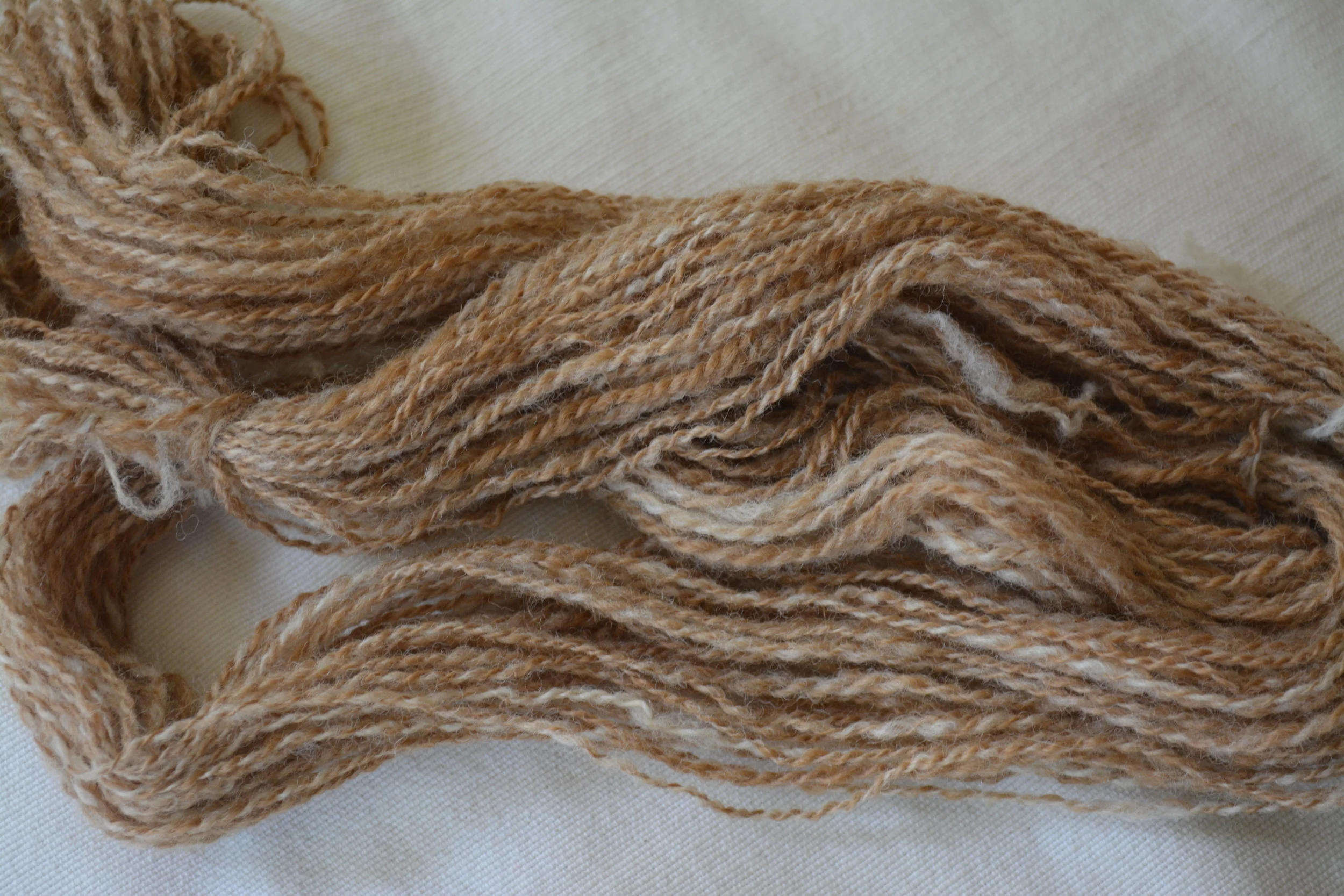 Shropshire and Alpaca yarn.JPG