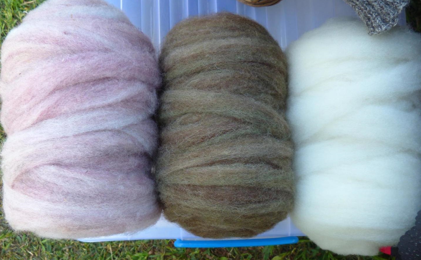Shropshire roving from Granite Haven
