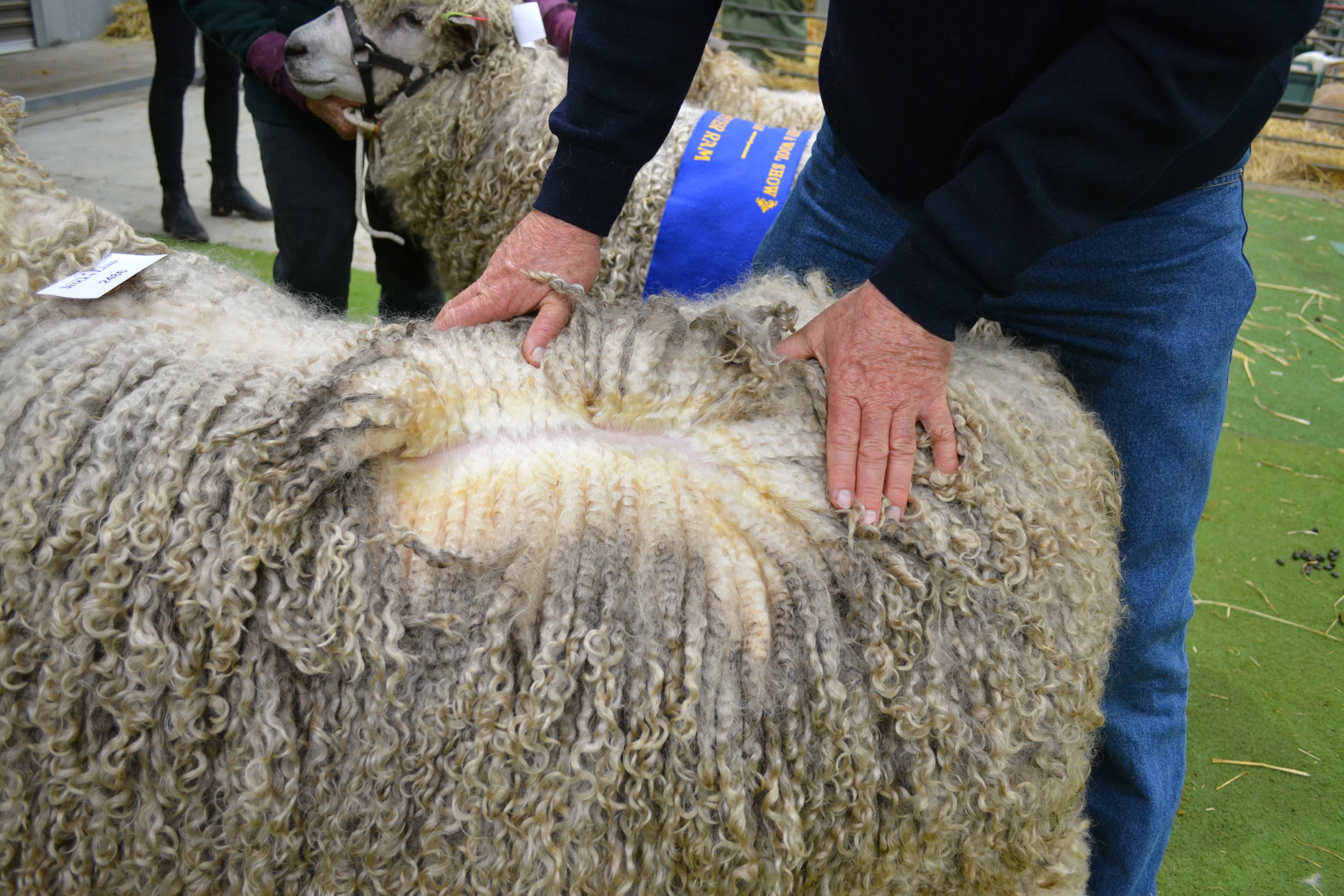 The Australian Sheep and Wool Show