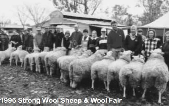 Strong Wool Sheep & Wool Fair