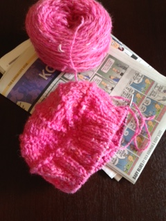 Poppy from Cheviot.jpg