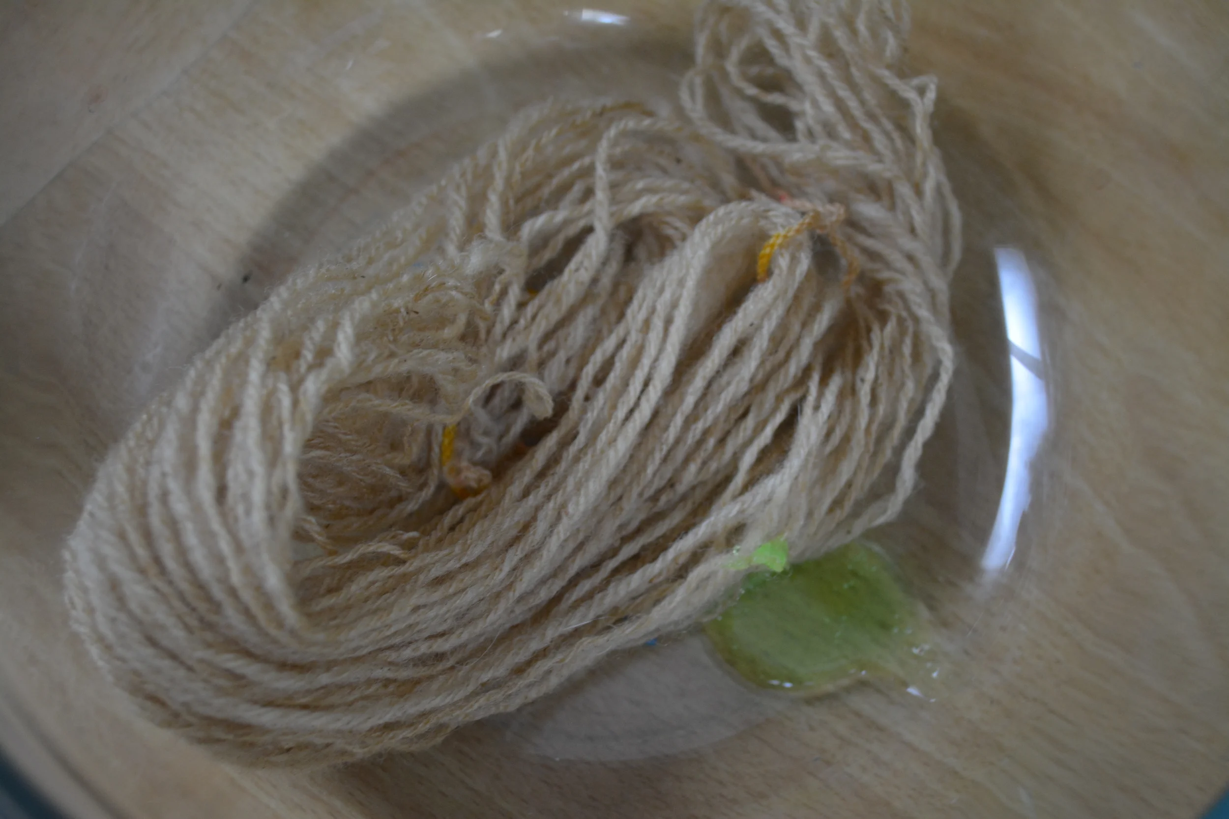 Ryeland skein getting a quick wash with dish soap. Low lanolin made it easy to spin in grease and then wash.
