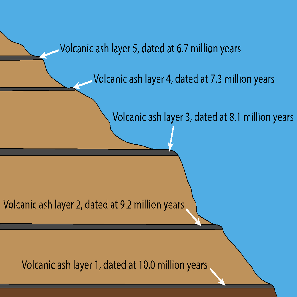 Fig. 2: A hypothetical outcrop, very similar to many I’ve studied, showing the consistency of the dates we get back from the laboratory.