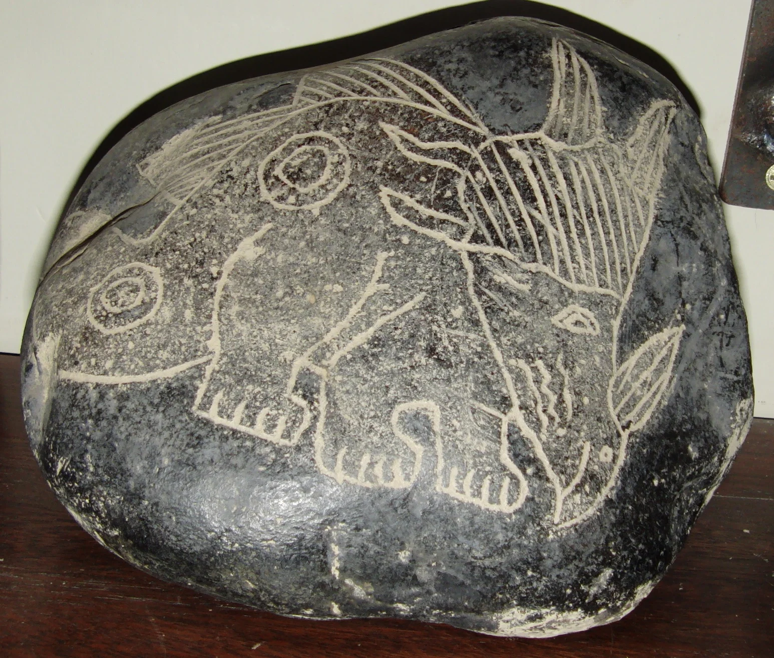 Triceratops.jpg