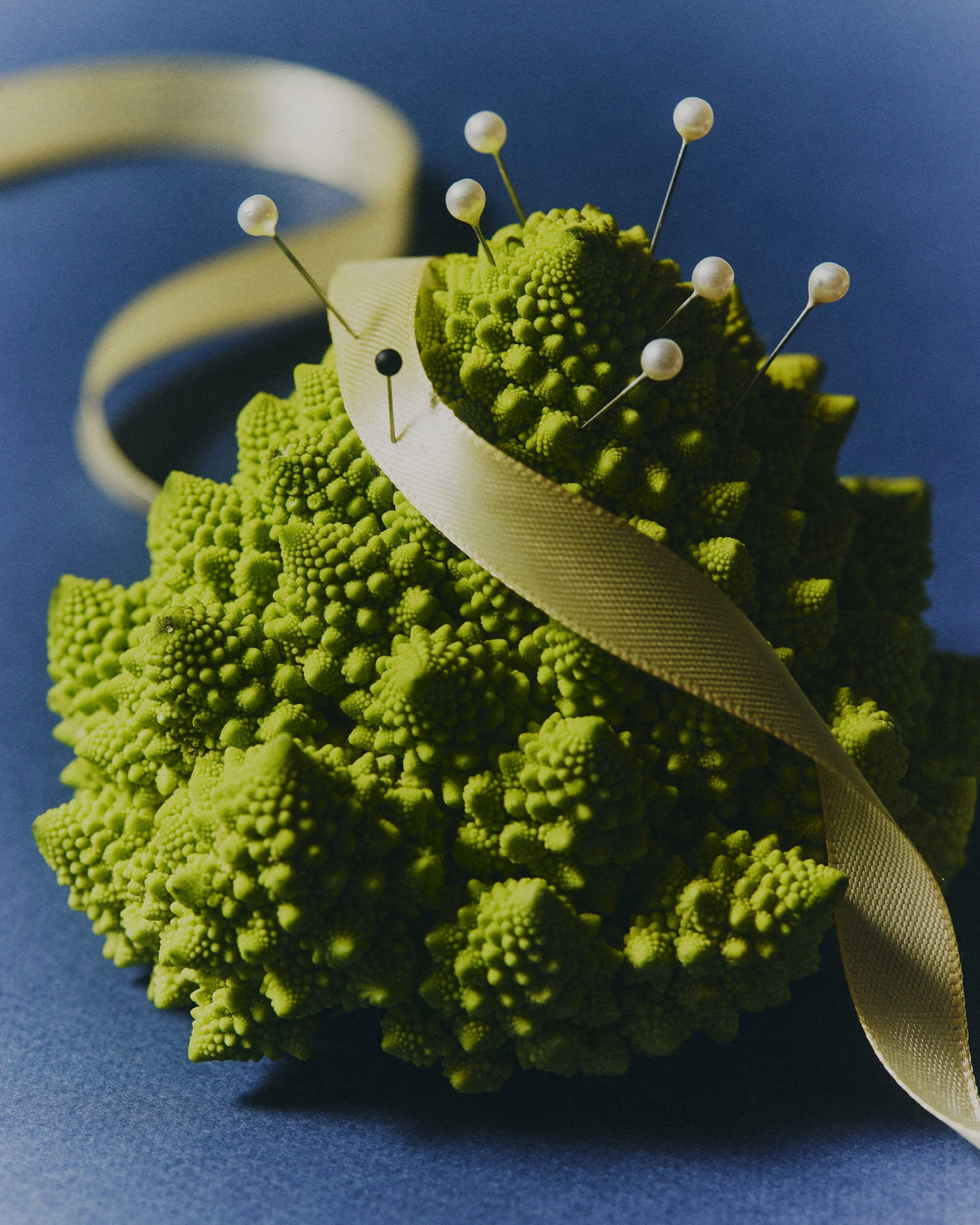 web-SDG_Ribbon_260227_0233.jpg