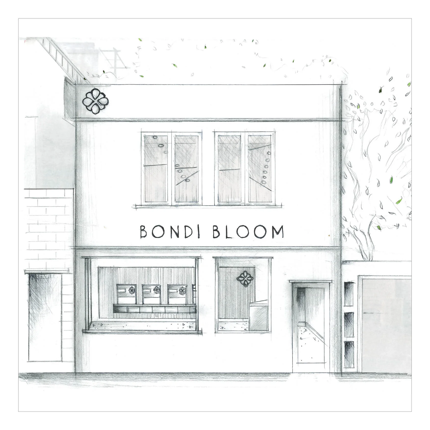 BONDI BLOOM CONCEPT SKETCH