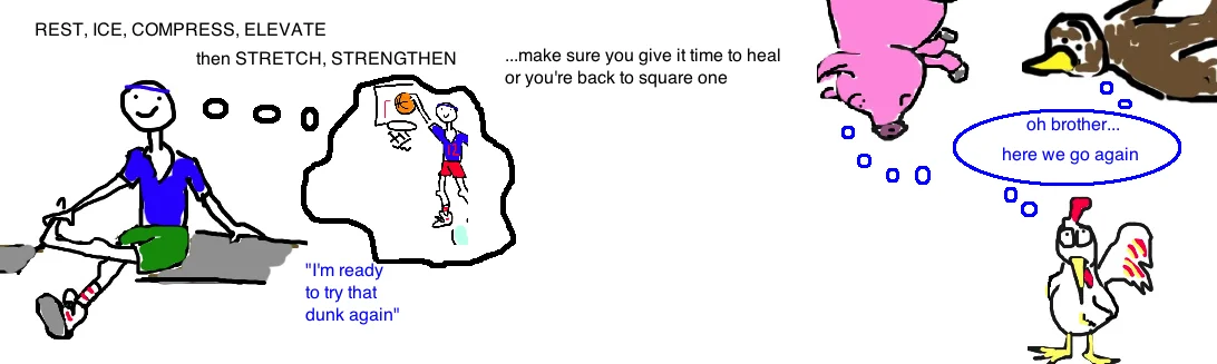 hami hip 4.jpg