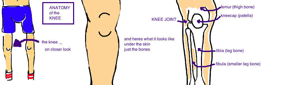 Broken Knee Tibial Plateau Fracture — Bone Talks