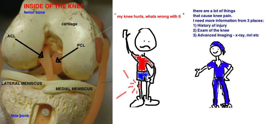whats wrong with my knee? how to know whats causing pain inside of the knee