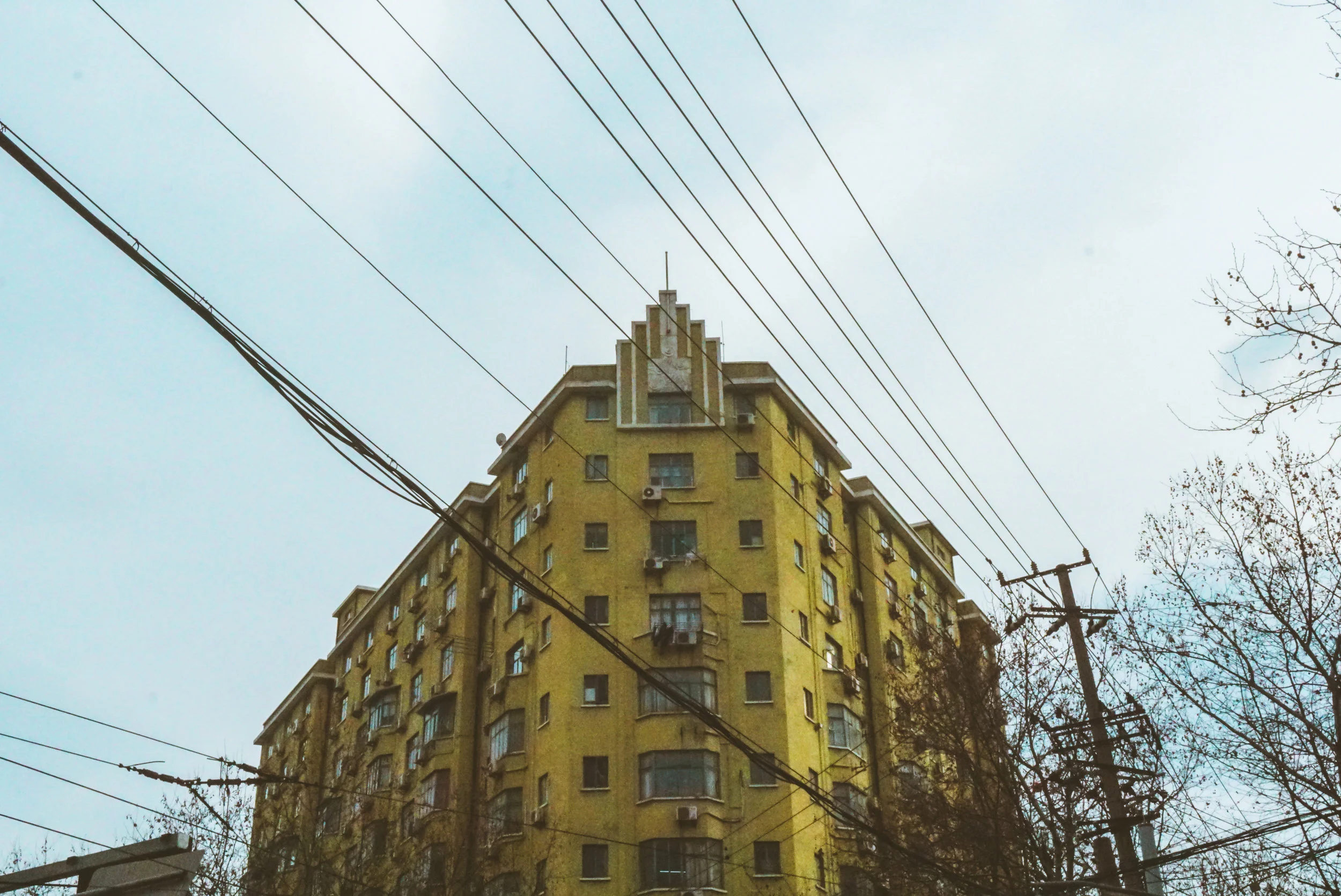 DSC07993.jpg